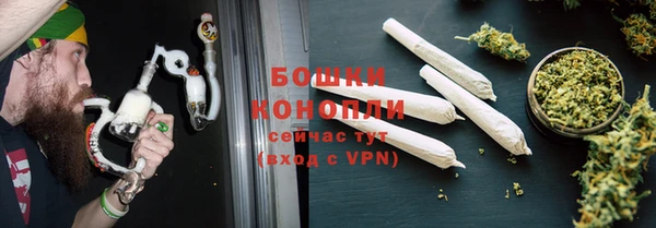 ГАЛЛЮЦИНОГЕННЫЕ ГРИБЫ Елабуга