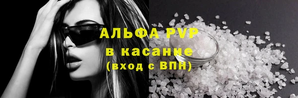 ГАЛЛЮЦИНОГЕННЫЕ ГРИБЫ Елабуга