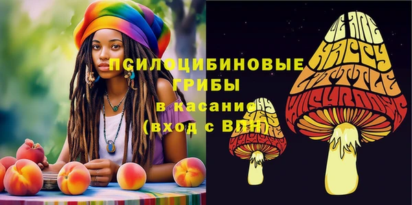 соль курить ск Ельня