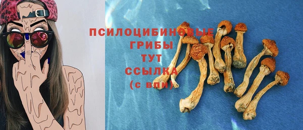 ГАЛЛЮЦИНОГЕННЫЕ ГРИБЫ Елабуга
