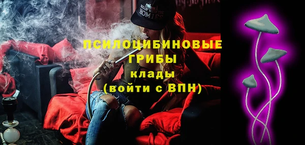 ГАЛЛЮЦИНОГЕННЫЕ ГРИБЫ Елабуга