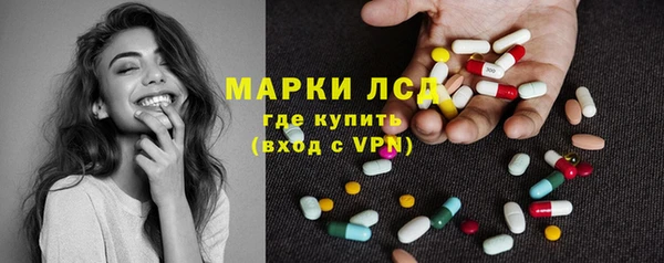 ГАЛЛЮЦИНОГЕННЫЕ ГРИБЫ Елабуга